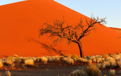 Dezember 2010 - Abendstimmung im Sossusvlei