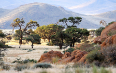 Kalender 2010 - Koiimasis Ranch in den Tirasbergen