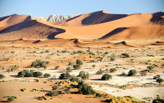 August 2010 - Sossusvlei