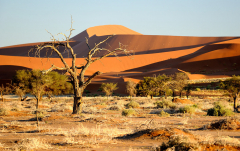 Oktober 2010 - Sossusvlei