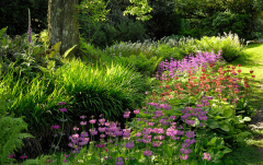 April: Stauden am Bach