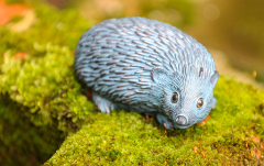 März: Igel