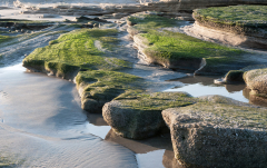 Juni: Ostküste bei Fins