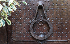 September: Türklopfer in Taroudant (Sous-Ebene)