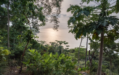 November: Sonnenuntergang bei Neves 