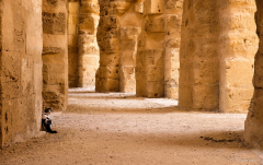Juni: Amphitheater in El Jem