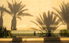 Oktober: Wasserbecken im Jardin Secret