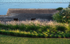 Februar: Ria Formosa, Fuseta