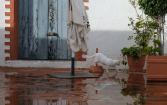 September: Praia do Barril