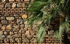 März: Mauer der Alcazaba in Málaga