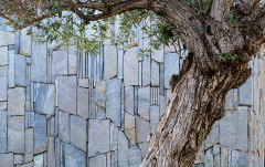 Januar: Kaktusgarten in Nijar