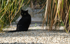 Februar: Ich seh dich!