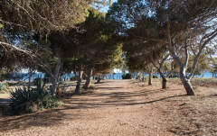 Juni: Strandzugang Los Genoveses