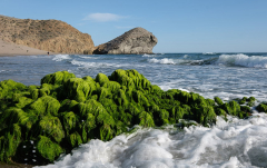 August: Private Beach