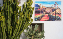 Oktober: Rodalquilar