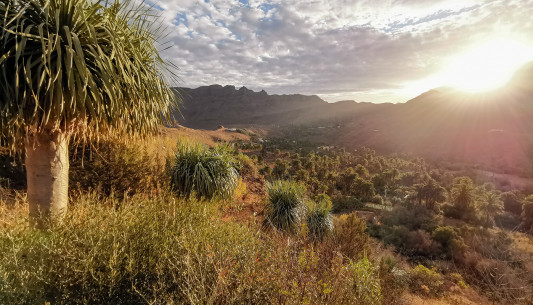 Oktober: Landschaft bei Las Lagunas, Gran Canaria